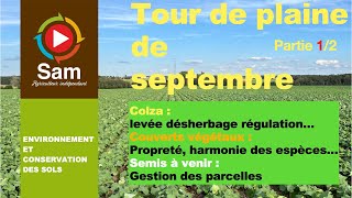 Tour de plaine : Suivi Colza, Couverts végétaux, observations et interventions d'automne Partie 1/2