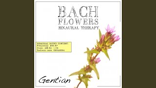 Gentian EFT Dose Therapy (Binaural Real Frequency from Bach Flowers)