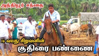 🔥சிறுவனின் குதிரைகள் | தமிழ்நாட்டின் No 1 குதிரை |Anthiyur market  2024 horse farm erode