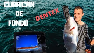 Pesca Dentex 3🐟✔