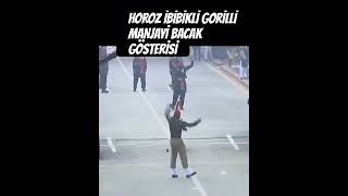 HOROZ İBİBİKLİ NUNGAYARİ BULUT BABABİ PİRİPİŞİK OLDU BACAK