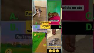 Funny Animal Videos 2022 - Funniest Cute Cats And Dogs Video Compilation - #tiktok #shorts #trending