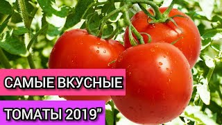 ЛУЧШИЕ СОРТА ТОМАТОВ СЕЗОНА 2019! Делимся наработками!