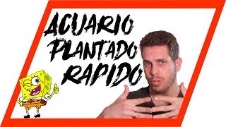 😲 Acuario plantado FÁCIL y RÁPIDO desde cero. 🔝