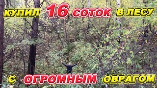 Купили 16 СОТОК в ЛЕСУ с ОГРОМНЫМ ОВРАГОМ!