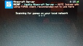 Minecraft survival, 5