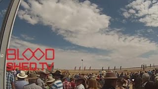 The Sledgehammer Fight Show - Birdsville Races