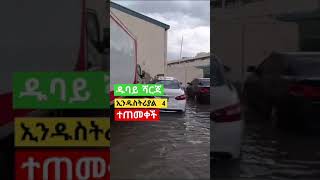 ዱባይ ተጠመቀች #shortviral #shorts #viral #israel #iran #viralshort #funnyshorts #ethiopia #funnyvideo