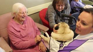 Choppa the Pug visits Ashburn House Aged Care in Gladesville