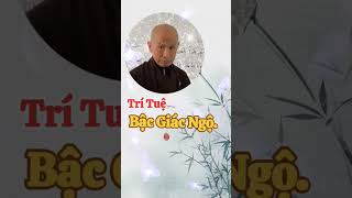 Trí tuệ Bậc giác ngộ #a_di_đà_phật #lời_phật_dạy