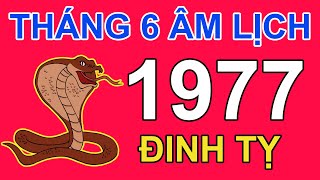 Tử Vi Tuổi Đinh Tỵ 1977 Trong tháng 6 năm 2024 âm lịch Giáp Thìn | Triệu Phú Tử Vi