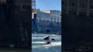 West linn Oregon ,Willamette River Falls (paddle boarding)