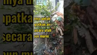 air hujan jumat keliwon