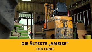 Die älteste Ameise (1) – Der Fund