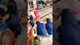 Dilnashi dilruba hai#naat #shortvideos#islamicshorts #cute#viralvideos#ytshorts #trend@sahabakehalat