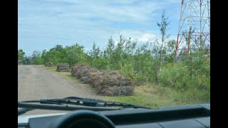 Дорога с плантации до ближайшей деревни