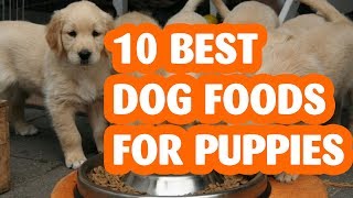 10 best Dog Foods For Puppies Of 2019