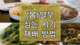 2024년 봄 열무 심는 시기 및 재배방법 알아보기