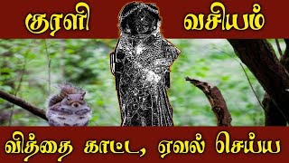 #ஸ்ரீபத்ரகாளியம்மன்#சக்தி#பீடம்.        Kali manthirigam/KURALI VASIYAM /JALAM/EVAL/குரளி வசியம்.