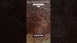 Pr. Júnior Trovão - Você Crê #juniortrovão #shortsviral #shortyoutube #shortvideo #edit #palavra #fé