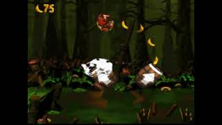 Let's Play Donkey Kong Country 2: Diddy's Kong Quest (Parte 4)