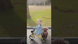 Cute 🥰🥰😍 #cute #baby #cutebaby #funny #video #youtubeshorts