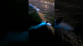 Surfing Bioluminescent Waves in California 8.18.24