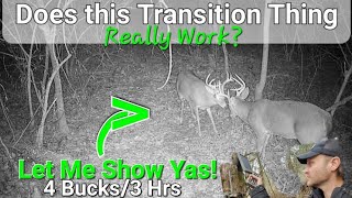 Building Secure Whitetail Deer Lines of Travel "Transitions and Corridors"