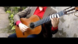 1. Largo RV 43 - Antonio Vivaldi / Carlos Roldan (guitar)