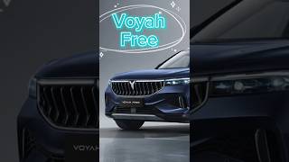 Voyah Free #керамика #полировка #вояфри