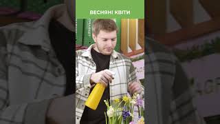 ВЕСНЯНІ КВІТИ | Квіткова казка у вашому подвір'ї | Agro-Market.ua #shorts