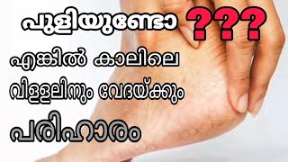 കാലിലെ വിളളലിനും വേദയ്ക്കും ഒരു പരിഹാരം.| simple and easy method | #WHITEBoxmalayalam .