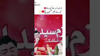 TAWAF E KABBA Kese Hoga | Teray Begair Hussain | Mir Hasan Mir