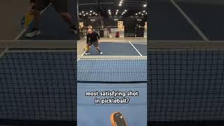 Is this the most satisfying shot in #pickleball?