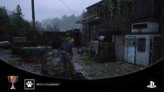 The Last of Us Part I whos a good boy ? Trophy