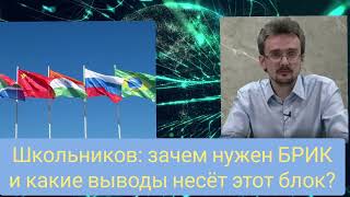 Андрей Школьников: зачем вообще нужен БРИКС и какие выгоды он несет России и другим участникам?