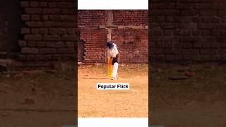 Popular Flick | #viral #video #cricketshorts #cricket #batting #shot #cricketlover #cricketer #short