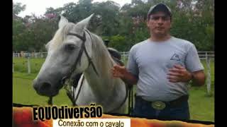 Conexão com o cavalo