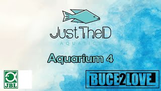 Aquarium Nummer 4 bepflanzen