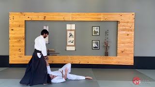 Kokyu e Koshi nage no Munen Mushin Dojo em Recife