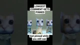 Longest comment gets pinned! #viral #edit #trending #funny #shorts #guessandgetpinned #cat #memes