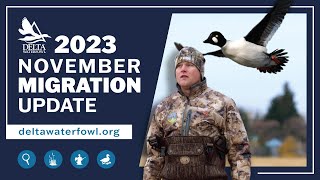 November Migration Update 2023