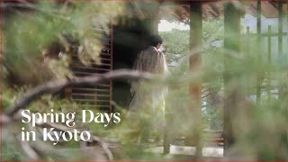 Life in Kyoto / Spring Moments / Cinematic Travel & Photography Journey