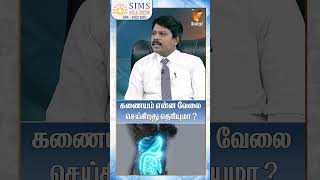 கணையம் என்ன வேலை செய்கிறது தெரியுமா? | Functions Of pancreas