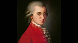 W. A. Mozart - Symphony No 40 in G minor K. 550 - Mvt. 1 - Recorder Ensemble (Abridged) - 432 Hz.