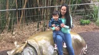 San Diego Zoo