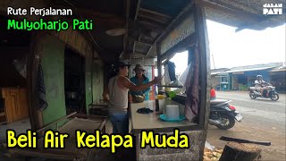 Beli Air Kelapa Muda di Mulyoharjo Pati