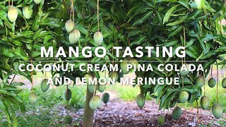 Our Favorite Mango of the year? Coconut Cream, Pina Colada, and Po Pyu Kalay (Lemon Meringue)