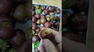 DROPPING OF LOCAL CHERRIES #shorts #asmr