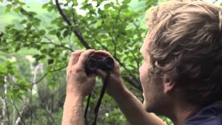 Trail Hunter   Alaska